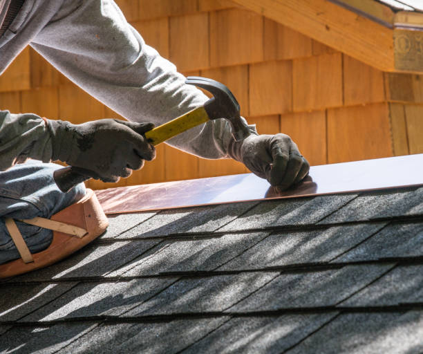 Best Roof Gutter Cleaning  in Alvin, TX